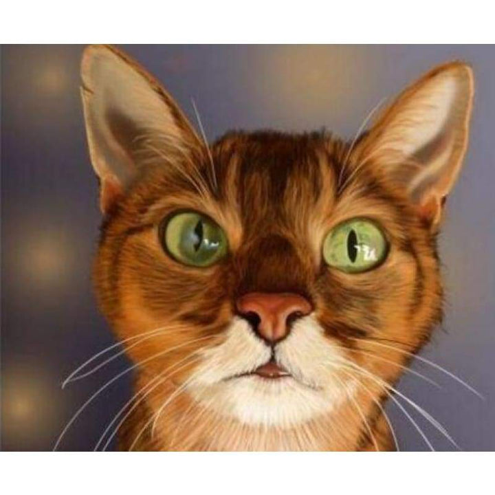 2019 Funny Pet Cute Cat Portrait 5d Cross Stitch Kits VM7509 - NEEDLEWORK KITS