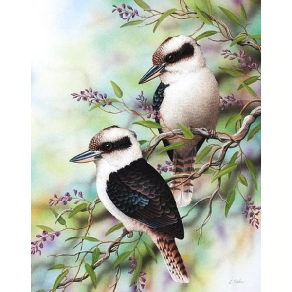 Kookaburra Birds - Full Drill diamond painting