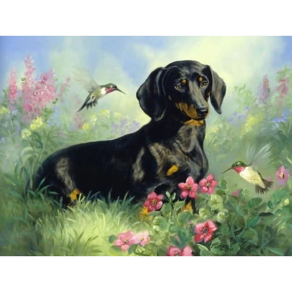 Dachshund - NEEDLEWORK KITS