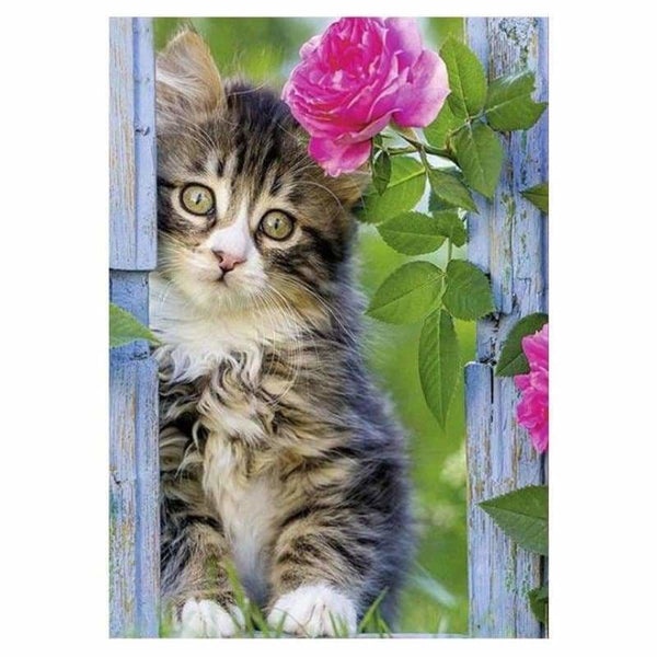 Full Drill - 5D Diamond Painting Kits Shy Cat Baby - 3