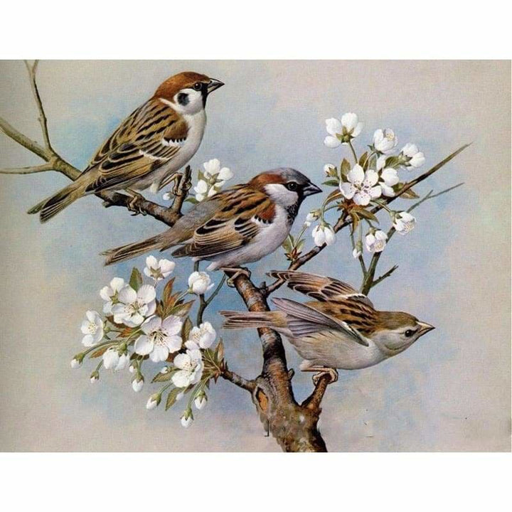 Full Drill - 5D DIY Diamond Painting Kits Affordable Birds 