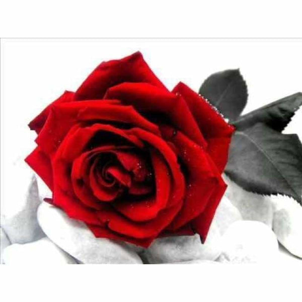 Full Drill - 5D DIY Diamond Painting Kits Beautiful Red Rose