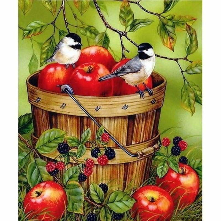 Full Drill - 5D DIY Diamond Painting Kits Birds Apples - 4