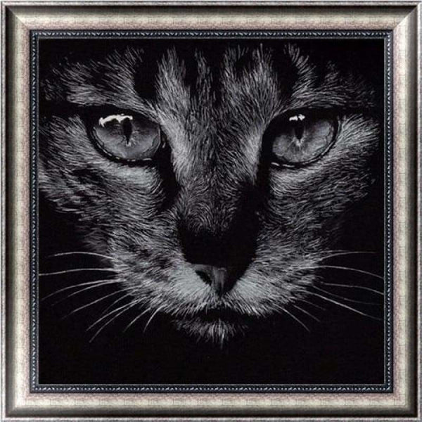 Full Drill - 5D DIY Diamond Painting Kits Black White Cat 