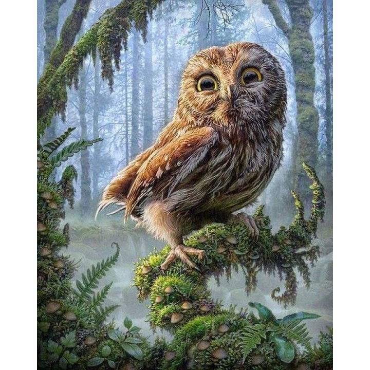 Full Drill - 5D DIY Diamond Painting Kits Cartoon Animal Owl