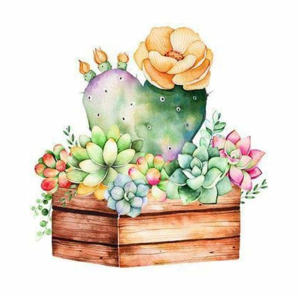 Full Drill - 5D DIY Diamond Painting Kits Cartoon Succulent Plant Pot - NEEDLEWORK KITS