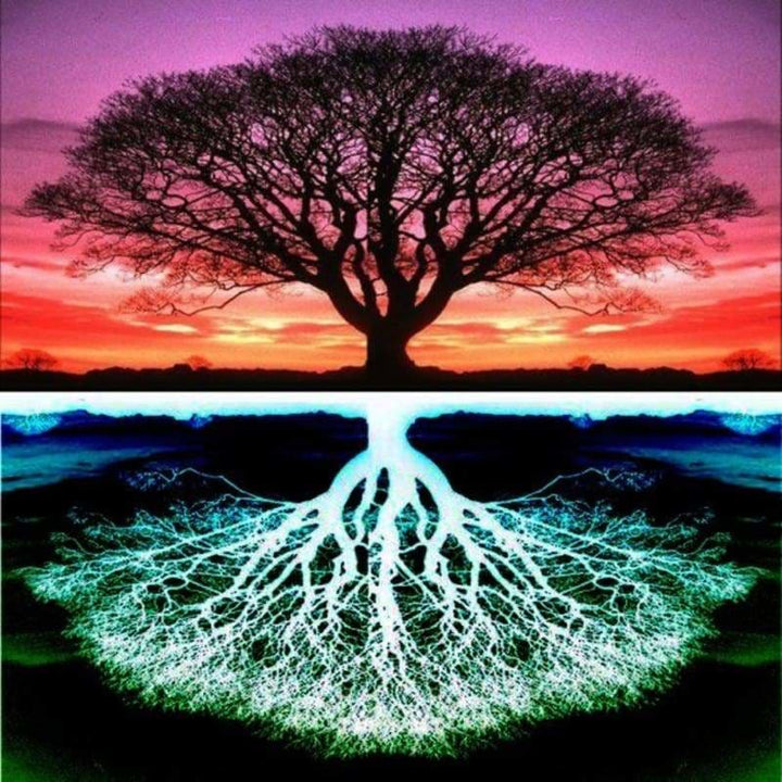 Full Drill - 5D DIY Diamond Painting Kits Colorful Fantasy 