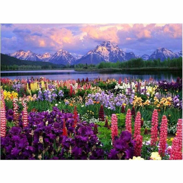Full Drill - 5D DIY Diamond Painting Kits Colorful Flowers 