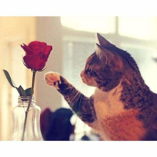 Full Drill - 5D DIY Diamond Painting Kits Cute Cat Red Rose 