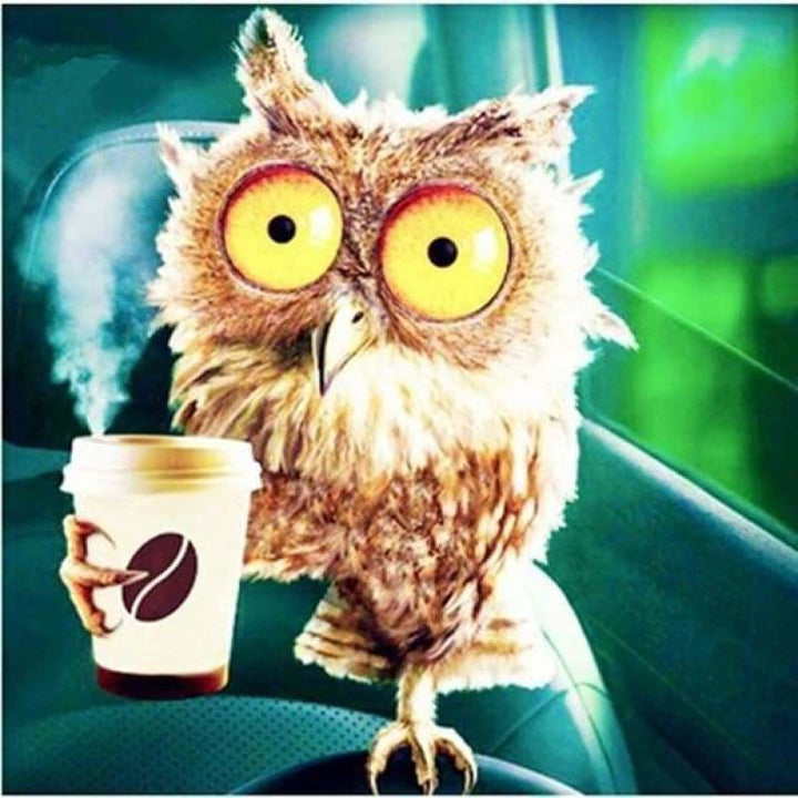 Full Drill - 5D DIY Diamond Painting Kits Cute Funny Owl 