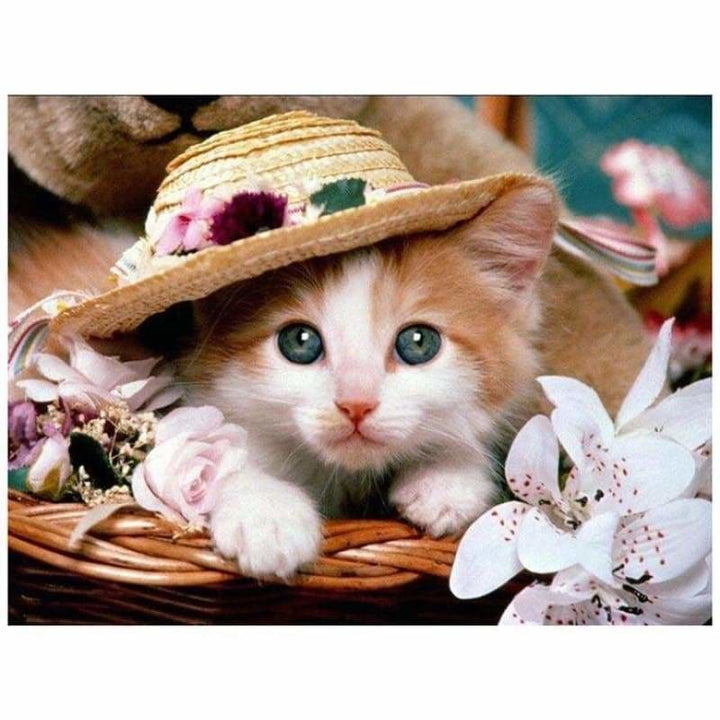 Full Drill - 5D DIY Diamond Painting Kits Cute Hat Cat - 4