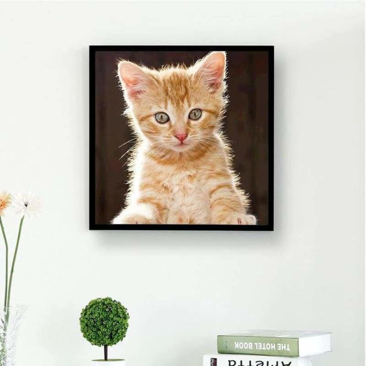 Full Drill - 5D DIY Diamond Painting Kits Cute Orange Cat