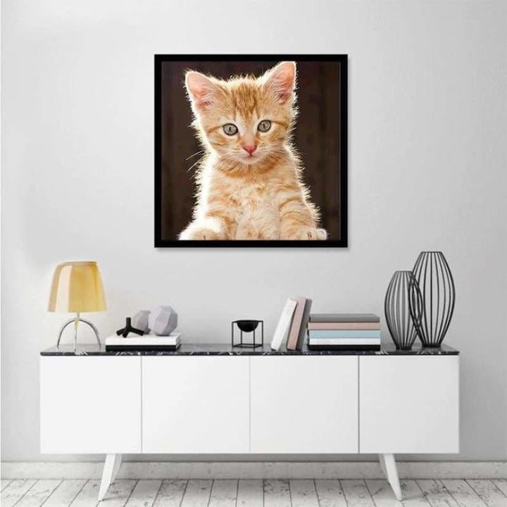 Full Drill - 5D DIY Diamond Painting Kits Cute Orange Cat