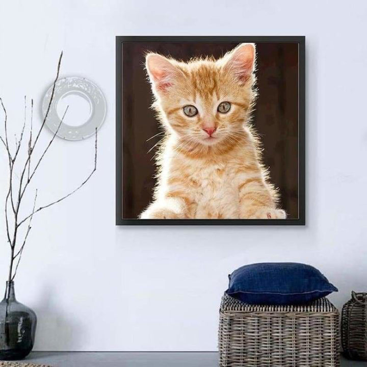 Full Drill - 5D DIY Diamond Painting Kits Cute Orange Cat