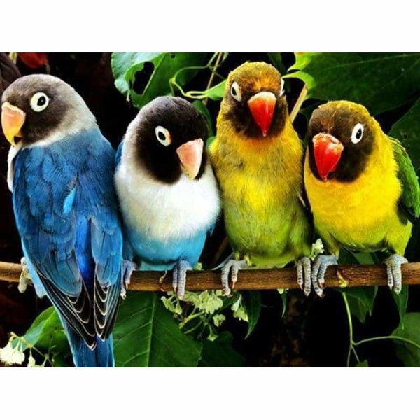 Full Drill - 5D DIY Diamond Painting Kits Cute Silly Parrots