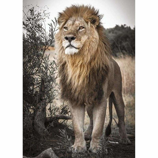 Full Drill - 5D DIY Diamond Painting Kits Dream Lion Gaze - 