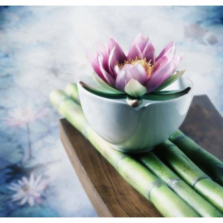 Full Drill - 5D DIY Diamond Painting Kits Dream Lotus Bamboo