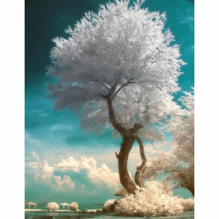 Full Drill - 5D DIY Diamond Painting Kits Dream White Tree 