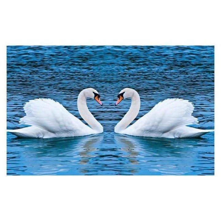 Full Drill - 5D DIY Diamond Painting Kits Loving Swan in the