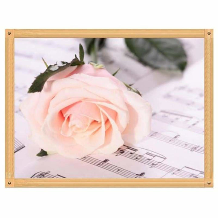 Full Drill - 5D DIY Diamond Painting Kits Pretty Pink Rose -