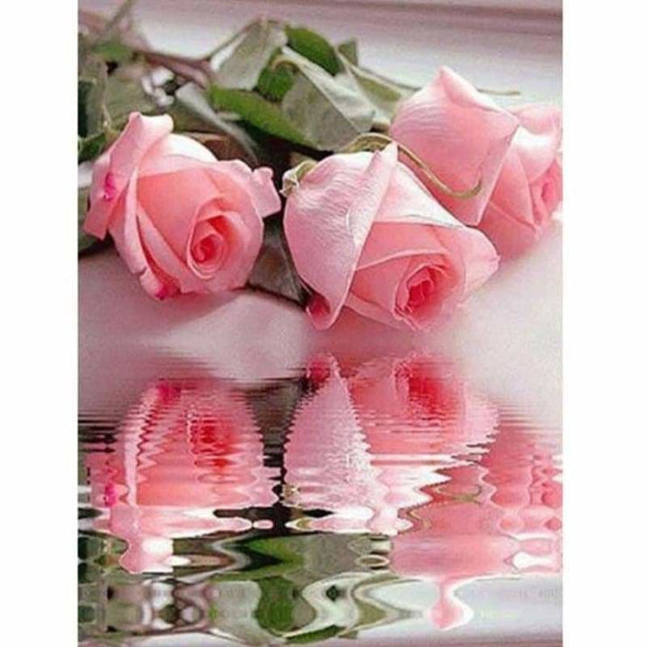 Full Drill - 5D DIY Diamond Painting Kits Pretty Pink Roses 