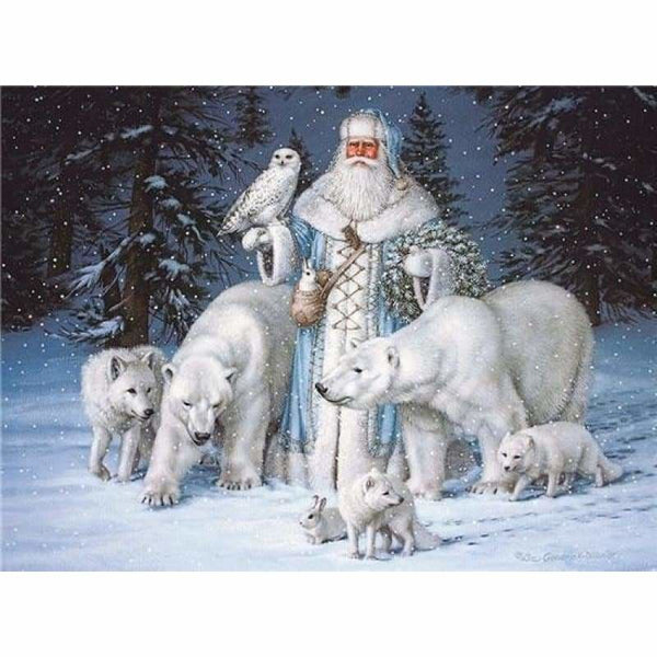 Full Drill - 5D DIY Diamond Painting Kits Santa Claus White 