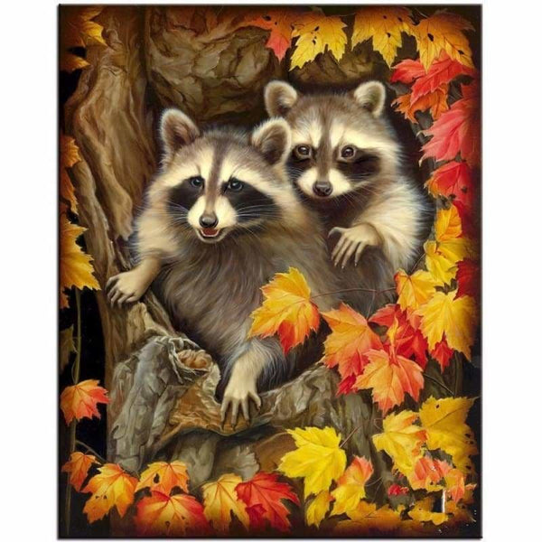 Full Drill - 5D Diy Diamond Painting Kits Silly Raccoon On 