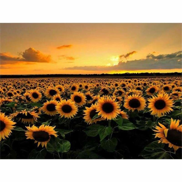 Full Drill - 5D DIY Diamond Painting Kits Sunset Plant 