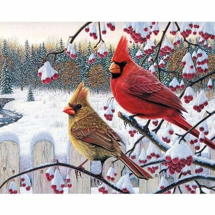 Full Drill - 5D DIY Diamond Painting Kits Winter Birds on 