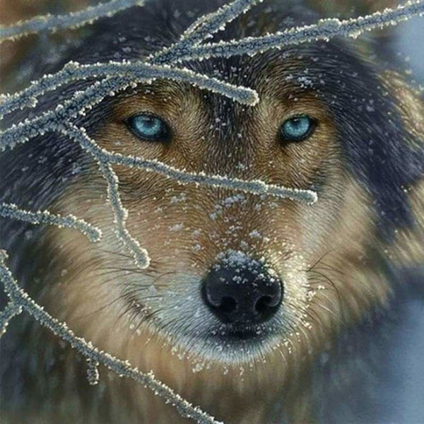 Full Drill - 5D DIY Diamond Painting Kits Winter Cool Wolf