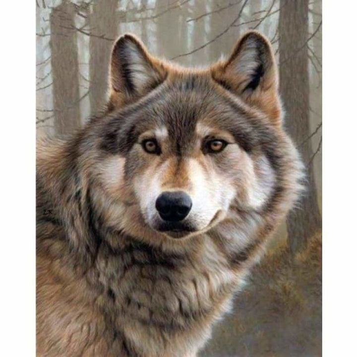 Full Drill - 5D Diy Diamond Painting Wolf VM8625 - 3