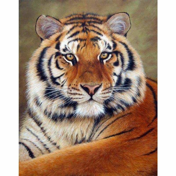 Full Square Drill Full Drill - 5D DIY Diamond Painting Tiger