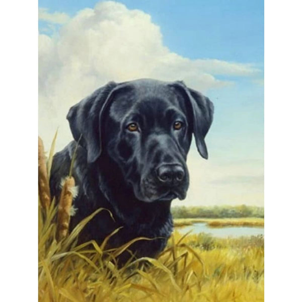 Labrador - NEEDLEWORK KITS