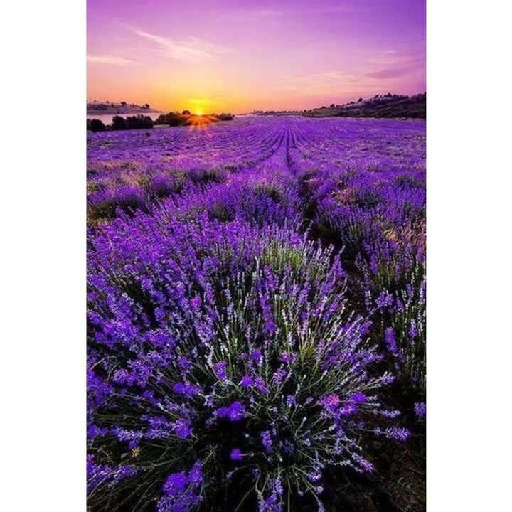 Lavender Fields Full Drill - 5D Diy Diamond Painting Kits 