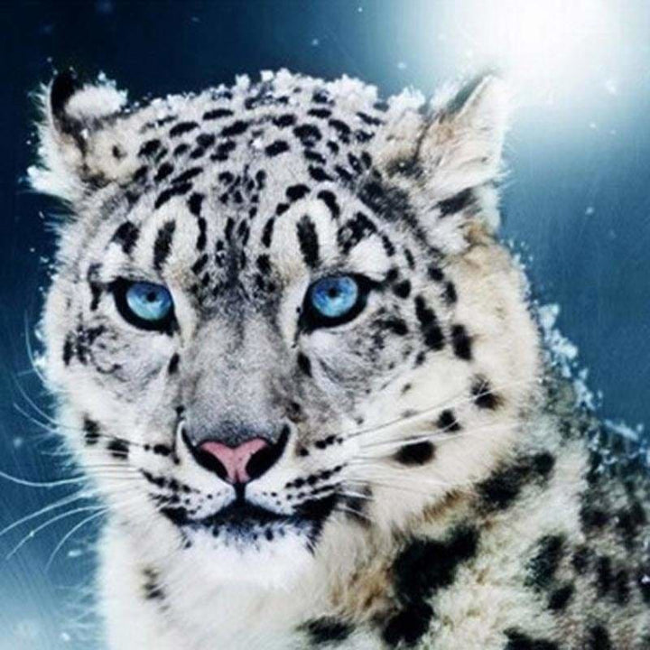 Leopard Full Drill - 5D Diy Diamond Painting Kits 