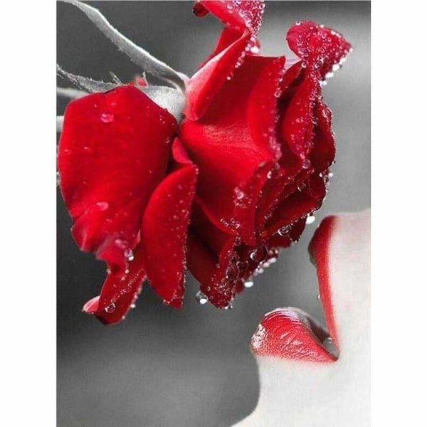 New Hot Sale Full Square Red Rose Full Drill - 5D Diy 