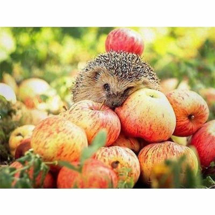 New Hot Sale Photo Hedgehog Pattern Full Drill - 5D Diy 