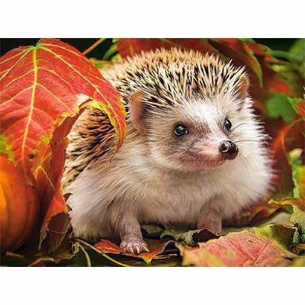 New Hot Sale Photo Hedgehog Pattern Full Drill - 5D Diy 