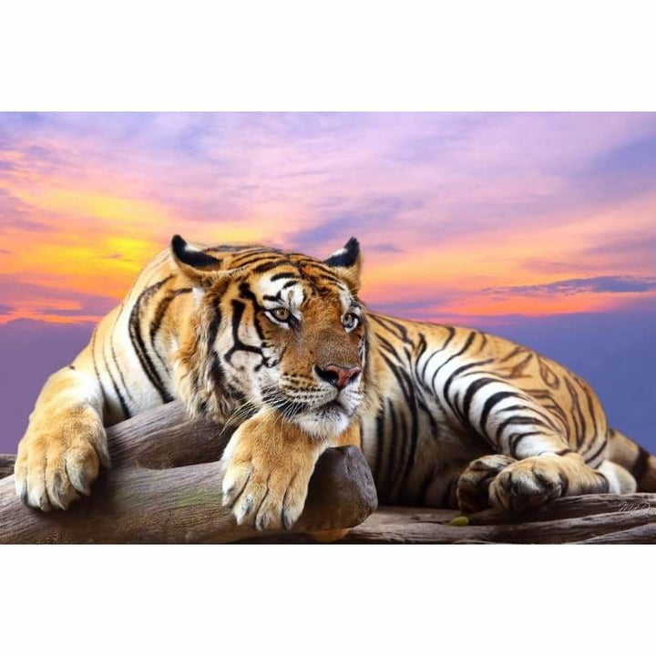 Pattern Tiger Full Drill - 5D Diy Diamond Painting Kits - Z3