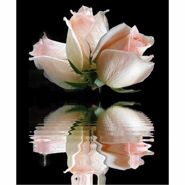 Rose Closeup Full Drill - 5D Diy Diamond Painting Kits 