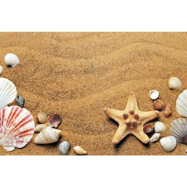 Shells on Sand- Full Drill Diamond Painting - NEEDLEWORK KITS